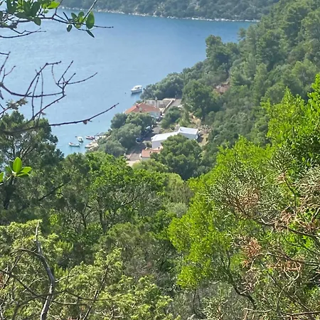 Marisari