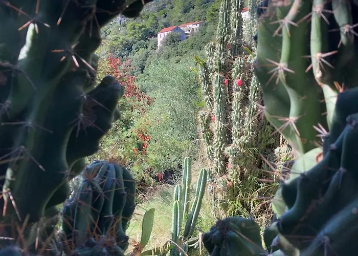 Marisari Apartament *